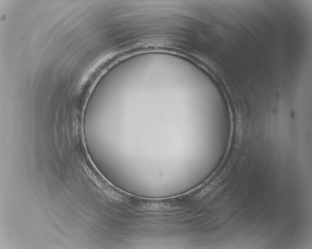 X0000051911115200507152024