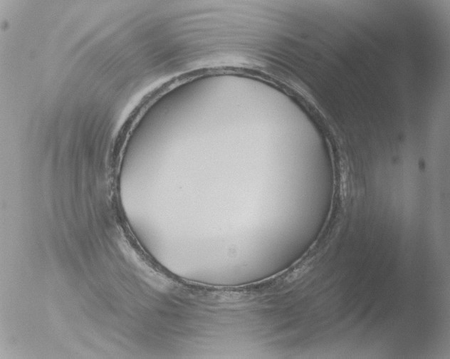 X0000051911116200507152024