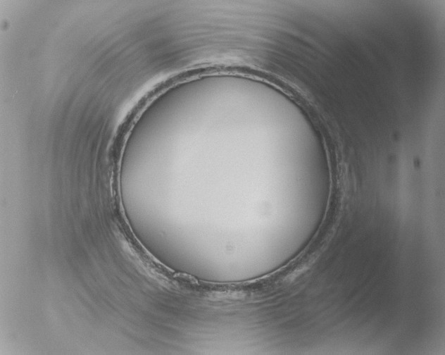 X0000051911118200507152024