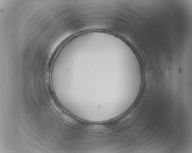 X0000051911119200507152024