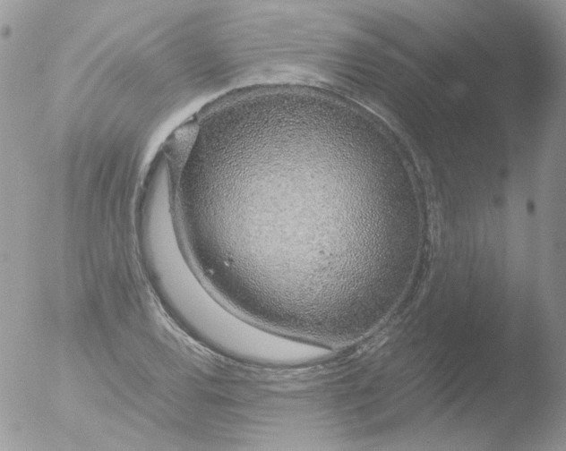 X0000051911120200507152024