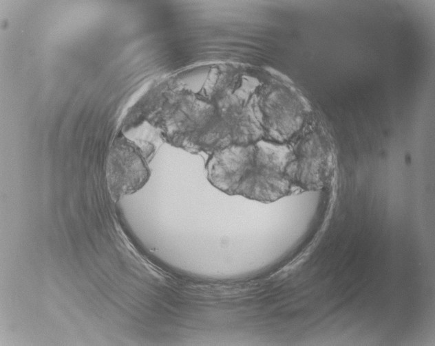 X0000051911121200507152024