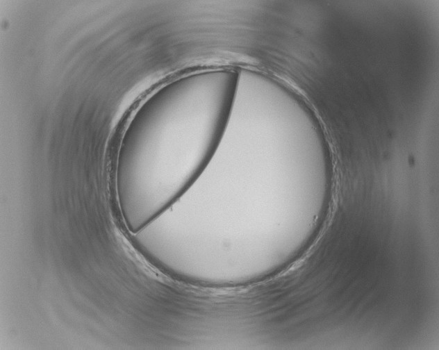 X0000051911122200507152024