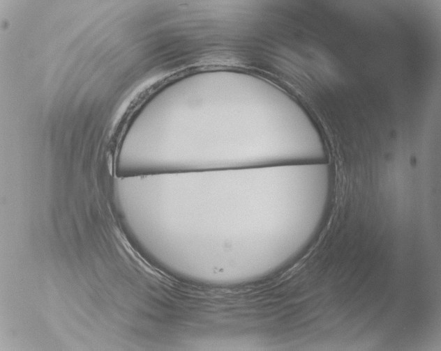 X0000051911123200507152024