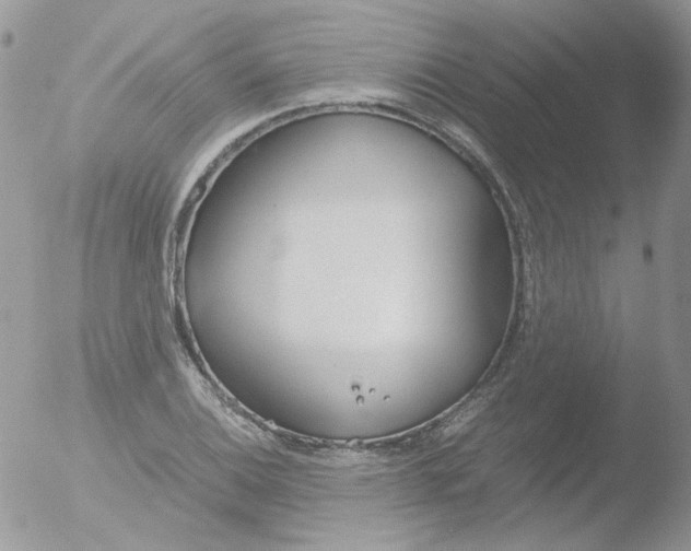 X0000051911124200507152024