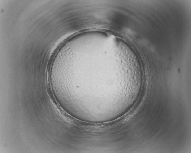 X0000051911125200507152024