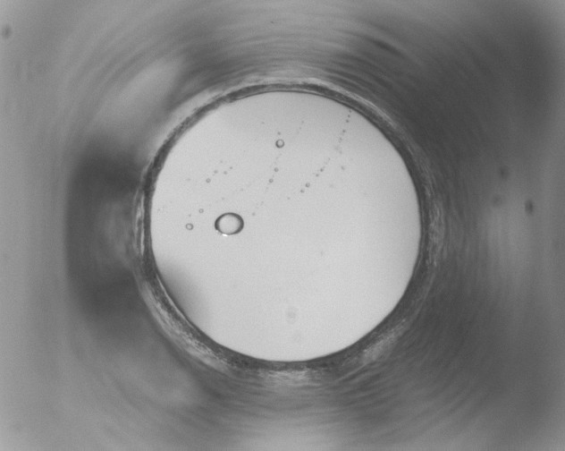 X0000051911126200507152024