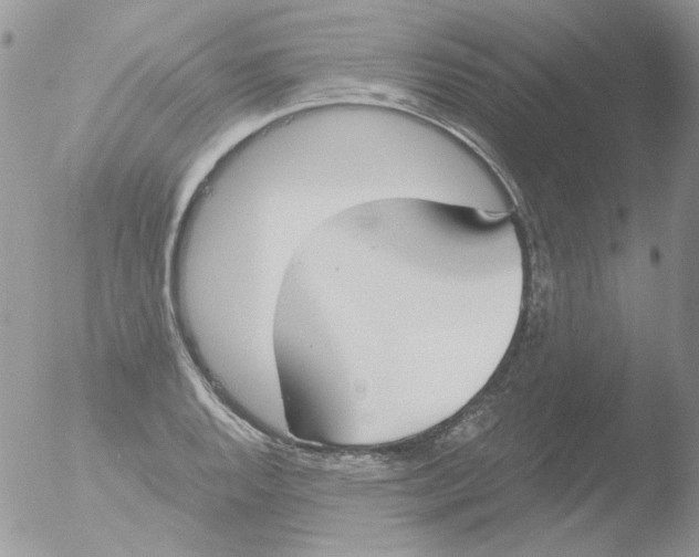 X0000051911128200507152024