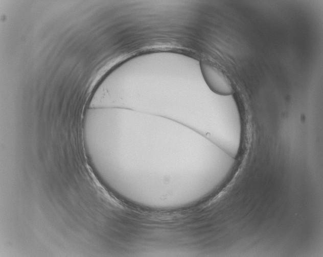 X0000051911129200507152024