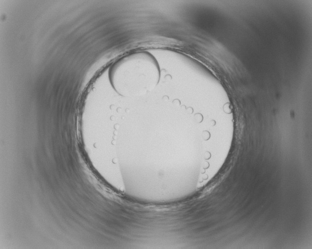 X0000051911130200507152024