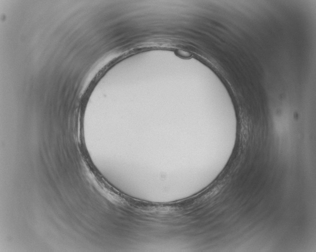 X0000051911131200507152024