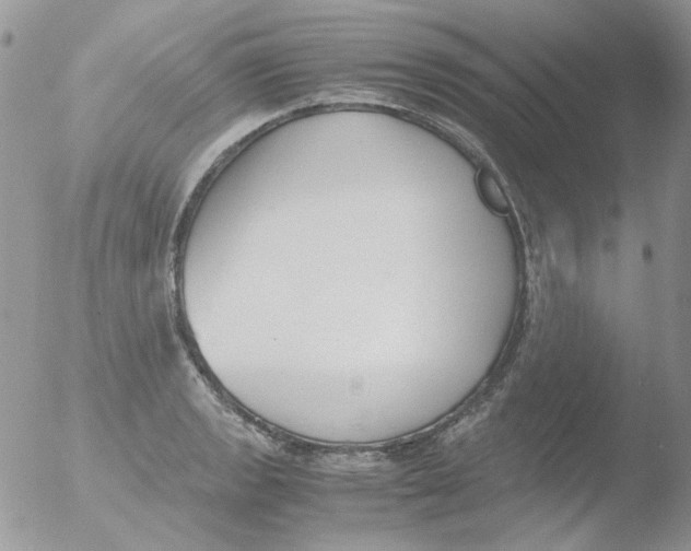 X0000051911133200507152024