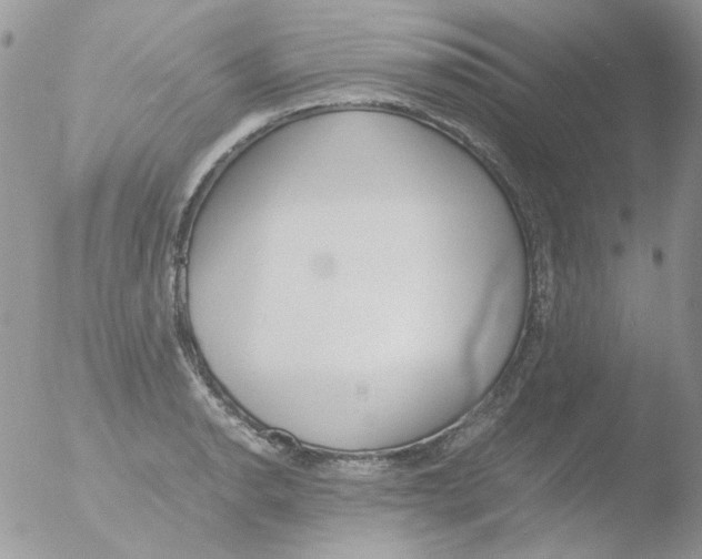 X0000051911134200507152024