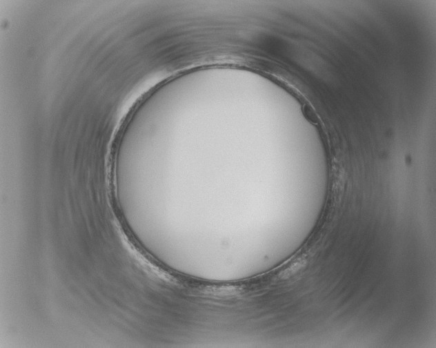 X0000051911135200507152024