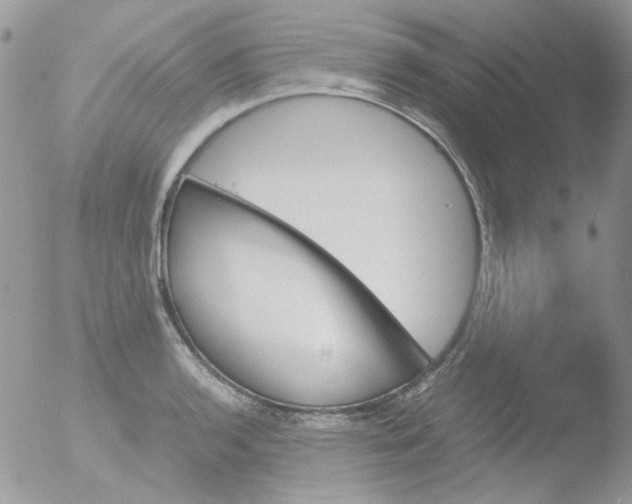 X0000051911136200507152024