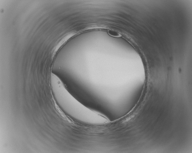 X0000051911137200507152024