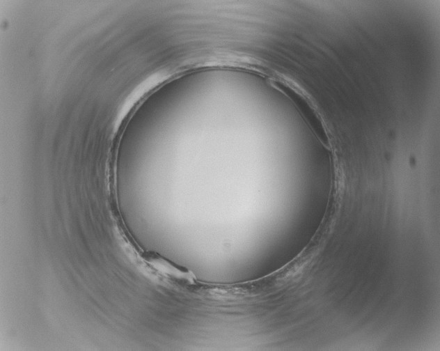 X0000051911138200507152024