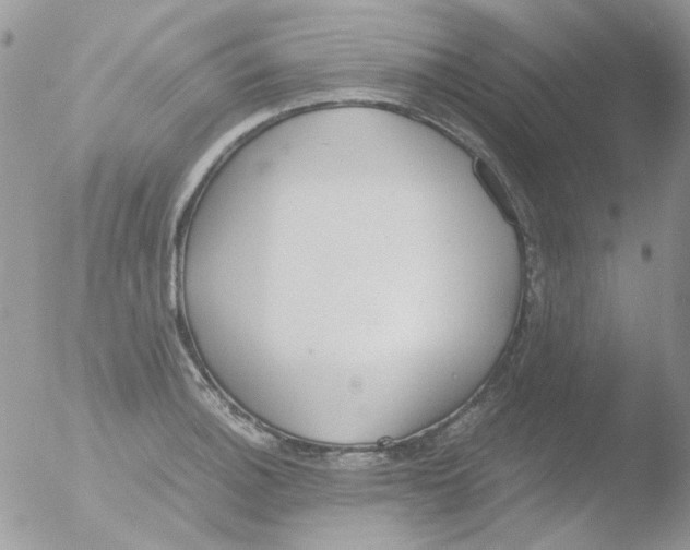 X0000051911140200507152024