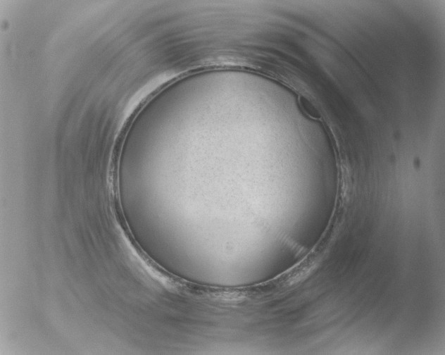 X0000051911141200507152024