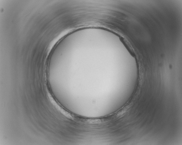 X0000051911142200507152024