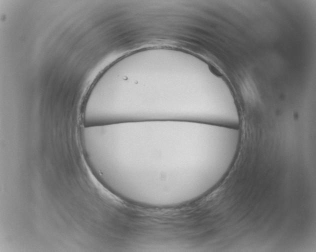 X0000051911143200507152024