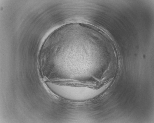 X0000051911144200507152024