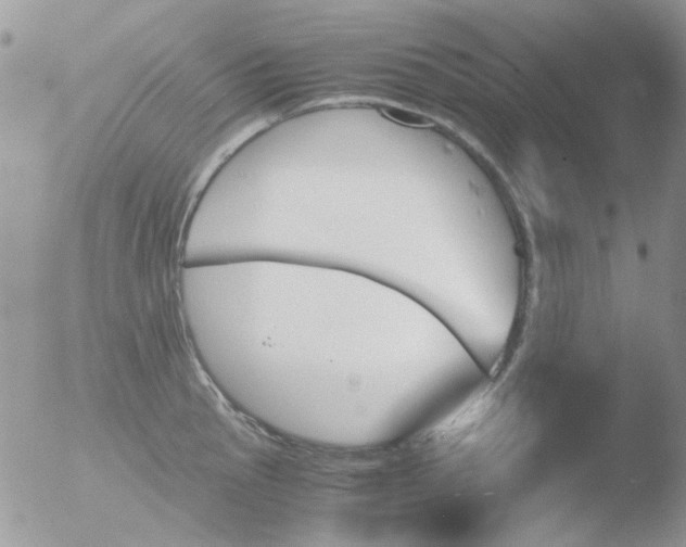 X0000051911145200507152024