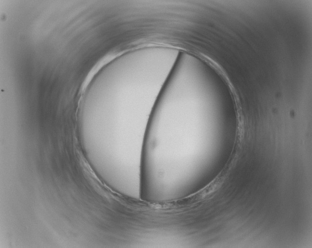 X0000051911146200507152024