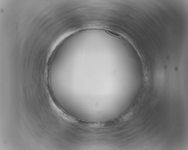 X0000051911147200507152024