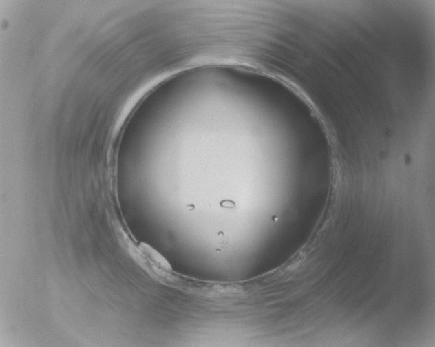 X0000051911148200507152024