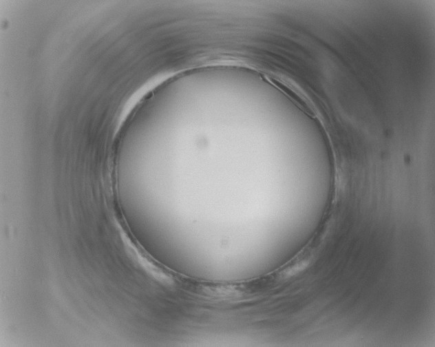 X0000051911149200507152024