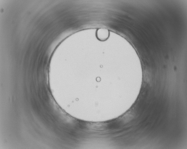 X0000051911150200507152024