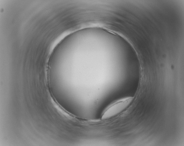 X0000051911151200507152024