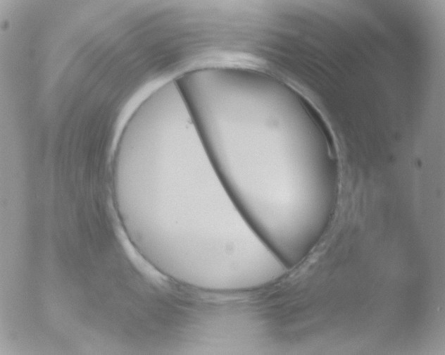 X0000051911152200507152024