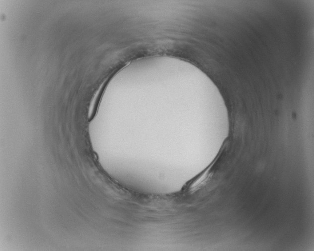 X0000051911153200507152023