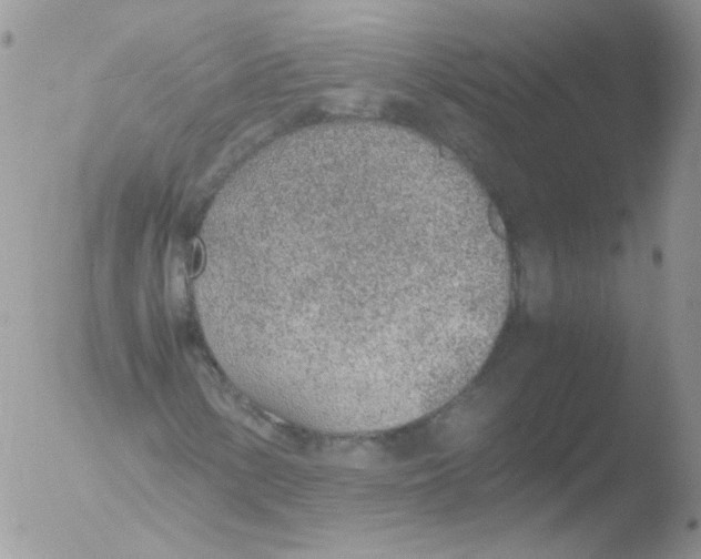 X0000051911154200507152023