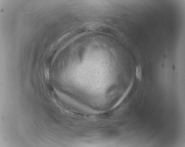 X0000051911155200507152023