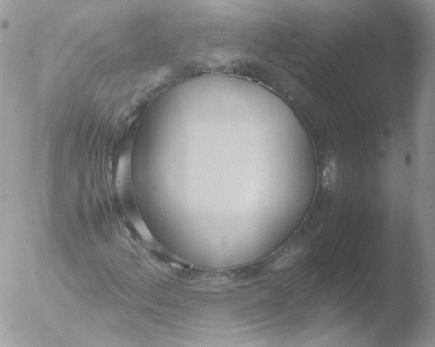 X0000051911156200507152023