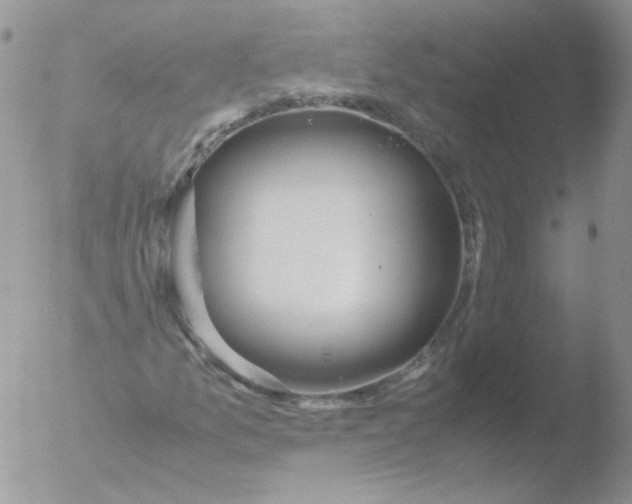 X0000051911157200507152023