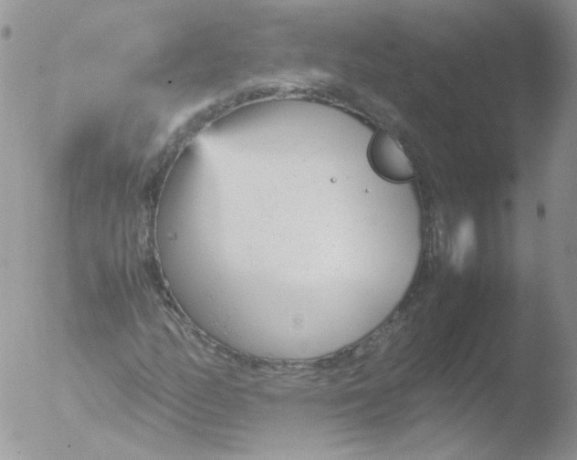 X0000051911158200507152023