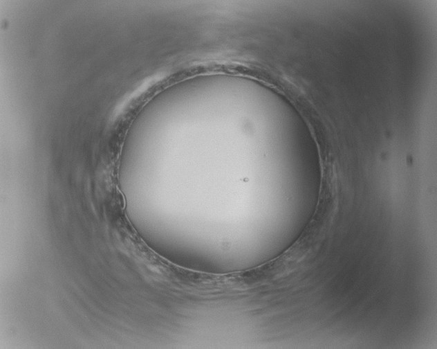 X0000051911159200507152023