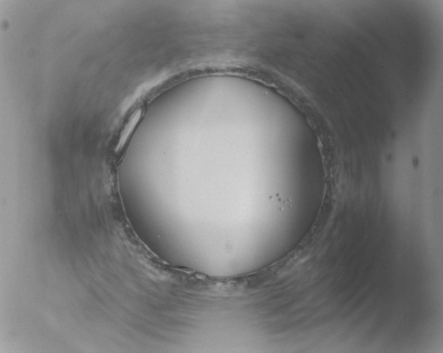 X0000051911160200507152023