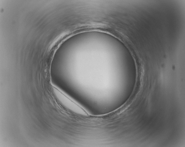 X0000051911163200507152023