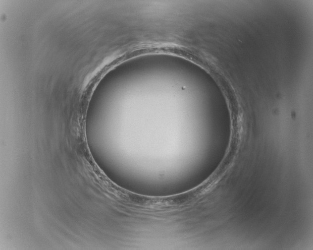 X0000051911165200507152023