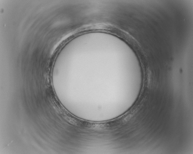 X0000051911166200507152023