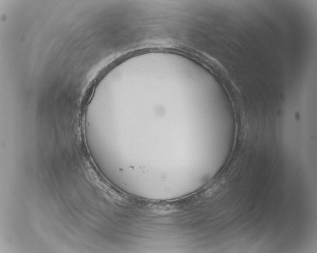 X0000051911168200507152023