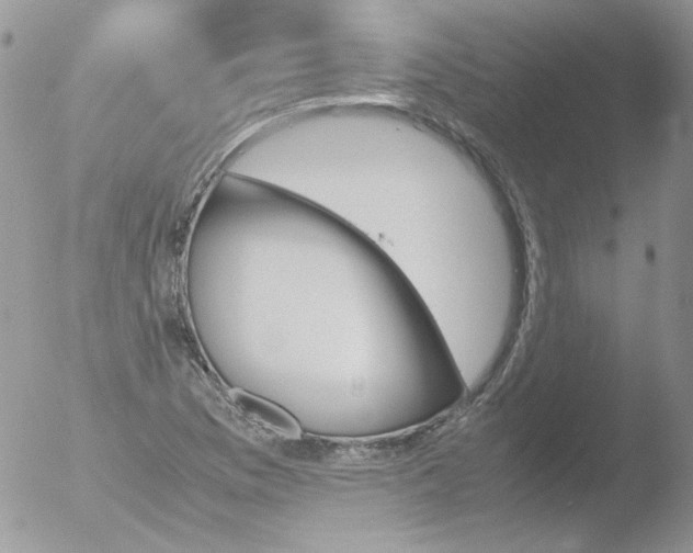 X0000051911169200507152023