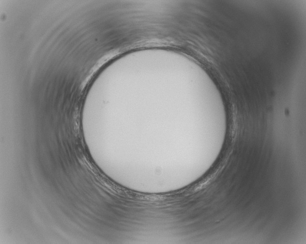 X0000051911170200507152023