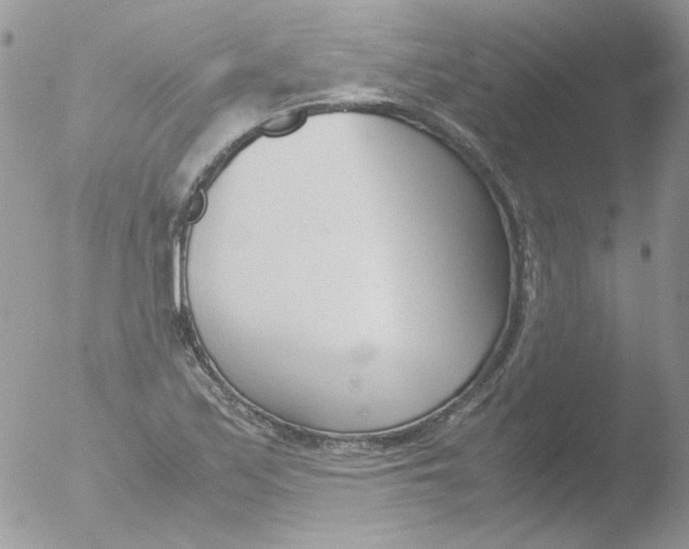 X0000051911171200507152023