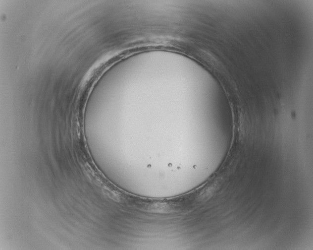 X0000051911172200507152023